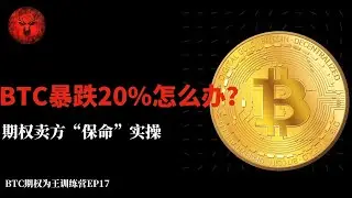 CSP现金备兑策略完结篇：从312血案学会风险管理｜BTC期权实战