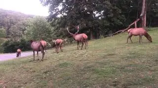 LONE ELK STATE PARK