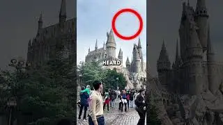 Самое необычное шоу в этом тематическом парке 🤯