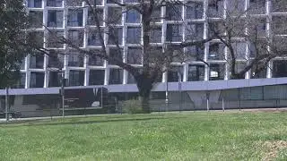 White Gloves Movers Punt Road