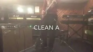 BIAS MINI VS REAL AMP Which is A or B？