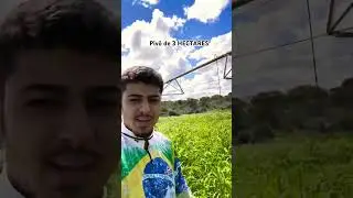PIV&Ocirc; CENTRAL DE APENAS 3 HECTARES MONOF&Aacute;SICO #pivocentral #agro #irrigacao #irrigation
