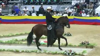 IMPERIO DE CASTILLO GRANDE, GRAN CAMPEON TROCHA COLOMBIANA  LA VEGA CUNDINAMARCA GRADO B 2024