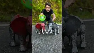 2 Ta Jungle Haathi🐘/Rc Elephant Unboxing
