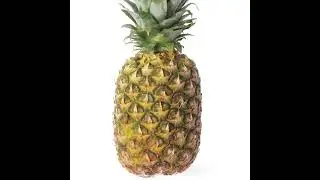Hitting 11M bounty on Blox Fruits(Roblox)