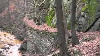 Wąw&oacute;z Pełcznicy / Rezerwat przyrody 