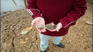 Troy biologists studying endagered species
