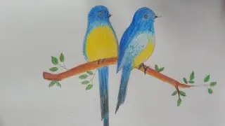 Blue and yellow bird 🕊️#birddrawing #yellowbird #drawing @anannaartcraft