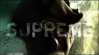 Destruction Of Sound - SUPREME (2008)