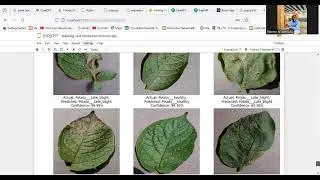 AI plant disease prediction