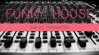 The Best Funky House Mix 2019 / Mixed by Gigi de Paschketyni - Session29 + TRACKLIST