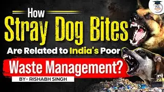 Stray Dog Bites in India: The Alarming Consequence of Poor Waste Management | PCS Sarathi