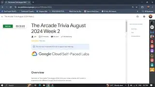 The Arcade Trivia August 2024 Week 2 #arcade2024 🐱Quiz All Answers
