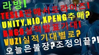 테슬라 바이오 인공지능 AR 드론 주식 BNGO ASXC (TRXC) SENS ZOM KOPN, VUZI