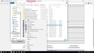 How to connect oracle database 11g with Wamp server