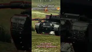 Идеальный выстрел!!!