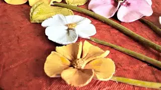 Try this Realistic flowers /Strong Wallputty art/3d painting/claycraft