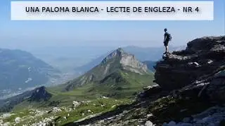 paloma 04