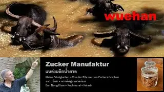 Zucker Manufaktur