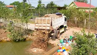 Start new fill up the small pond with BULLDOZER push stone and push tree
