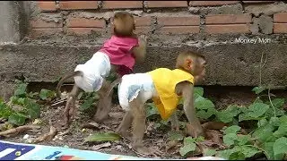Baby Mori And Dodo Exploring Nature After Lunch Time, Mori So Cute In Diaper