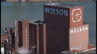 The Molson Brewery & Organized Crime In Canada