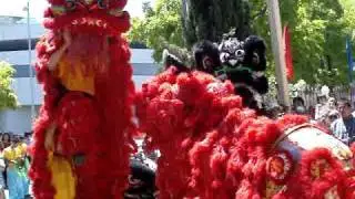 CNY '09 - CCCV Lion Dance at Footscray Temple
