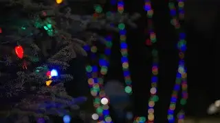 Merry & Bright: Alberta Hospital Edmonton's annual Holiday Light-Up