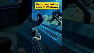 🐬Underwater World - 😱Best Aquarium Park in Pattaya #pattaya #thailand #aquarium #trending #shorts