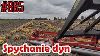 Spychanie dyń w rządki Władimircem #865