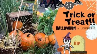 Liam's Halloween Adventures at Liseberg 🎃 👻