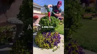 #Short Spring Snowman | Gardening With the Williams&rsquo;