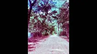 Apollo - &ldquo;I&rsquo;m Fine&rdquo; #chillmusic #soul   #nature