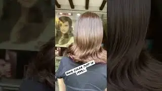 Alex salon Chandigarh offers on hair color discount upto 40%
