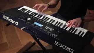 Forronejo 2 - Roland E-X30 - Mega Ritmos