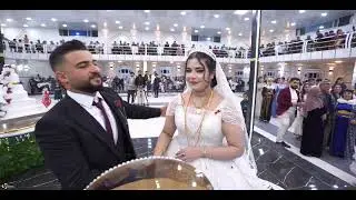 اجمل افراح كوباني صالة نيروز اهل شيخ حيد عريس اسماعيل  2025/11/11 (3) فيديو شامليان 0988677981:حمودة