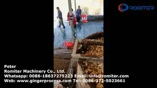 Vertical Drum Type Ginger Washing Peeling Machine