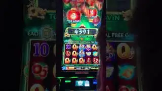 Free Games at Mountaineer Casino WVA #casino #slots #bonus #fypシ #gambling #slotwinners #slotbonus