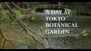 Tokyo Botanical Garden: Exploring Nature's Bounty