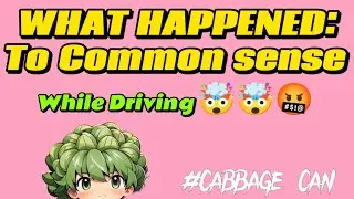 What Happened: common sense while (driving ) #cabbagecan a cabbage talk and discussion