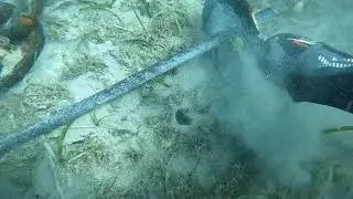 Water island Mooring Ball Break