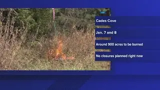 GSMNP: Cades Cove set for 900-acre prescribed burn Jan. 7-8