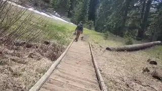 Twin lakes hike #2 last leg Glide, Oregon May 19, 2024