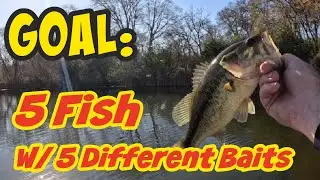 Can I Catch 5 Bass w/ 5 Different Baits in the Fall?