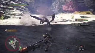 Monster Hunter: World money speedrun.