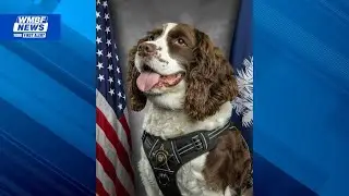 Marion County Sheriff&rsquo;s Office mourns loss of crime victim therapy dog