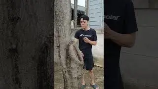 talk to a tree 1 minute straight