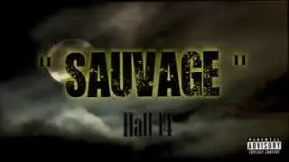 Hall 14 - Sauvage