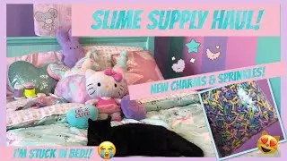 🎀NEW KAWAII SLIME SHOP!!🎀 + SLIME SUPPLY HAUL