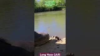 GAR Fishing Archives! #ONYXCONft #Fishing #Fun